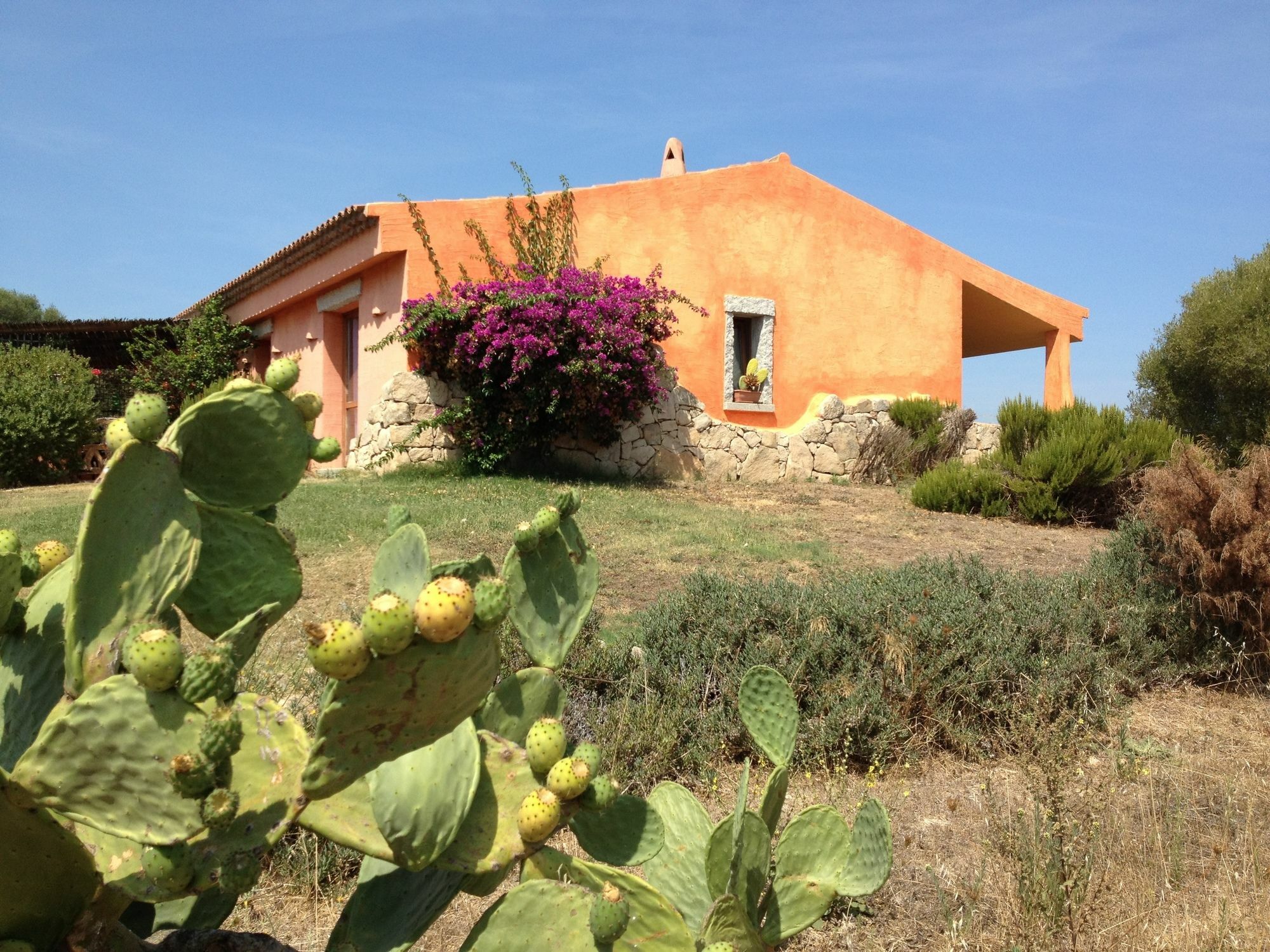 Li Espi Country Resort Porto Pollo Dış mekan fotoğraf